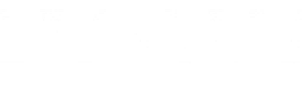VOW logo White